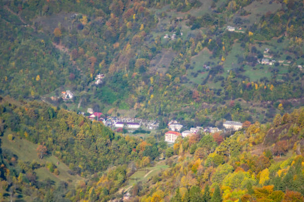 istock Yellow autumn forest in the mountains 1181351977