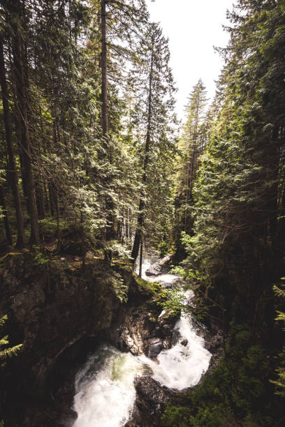 istock waterfall in british columbia 1181352669