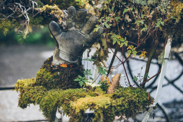 moss grass decoration at backyard green