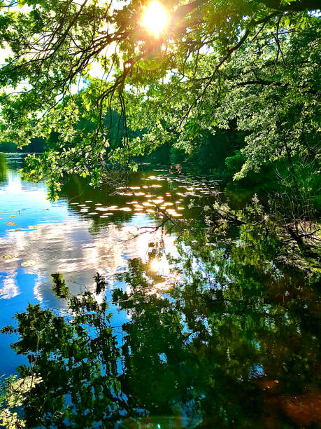 istock Summer sunny morning over a quiet river 1181356441