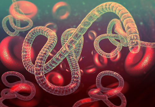 Ebola virus in blood. 3d illustration