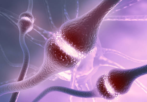 istock Neuron cells sending electrical chemical signals 1181363371