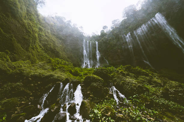 istock Inside the canyon of the Tumpak Sewu waterfall on Java Indonesia 1181363636