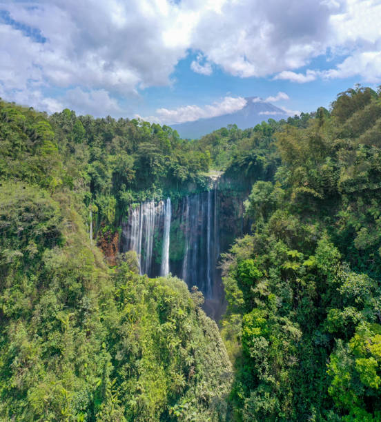 istock Scenic aerial view of Tumpak Sewu waterfall on Java 1181363701
