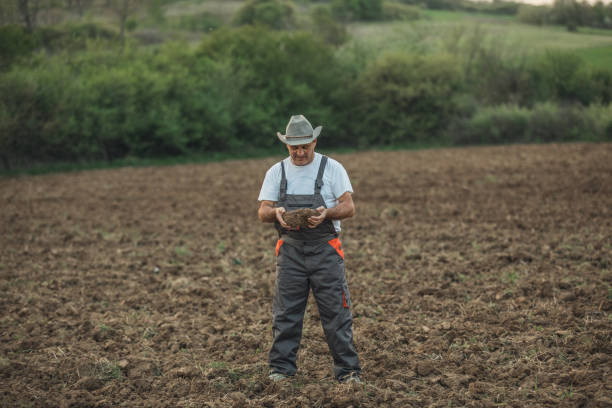 istock An older farmer looks at a plowed field 1181368045