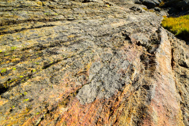 istock Green and orange lichen on rock texture. 1181368187