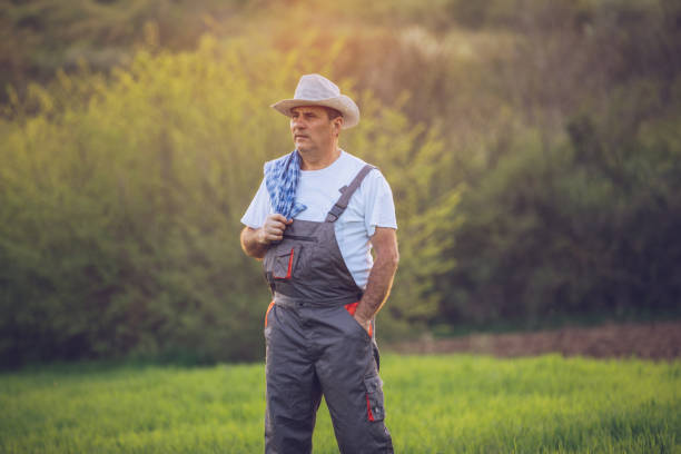 istock An elderly farmer looks at a wheat field 1181368247