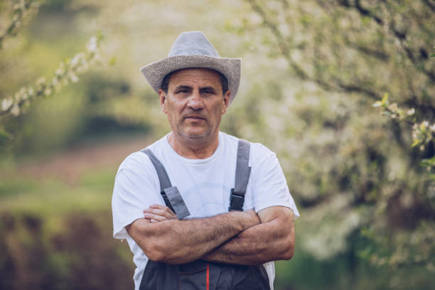 istock An elderly farmer looks at a plum blossom 1181368805