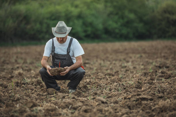 istock An older farmer looks at a plowed field 1181368811
