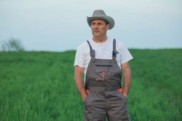 istock An elderly farmer looks at a wheat field 1181368835
