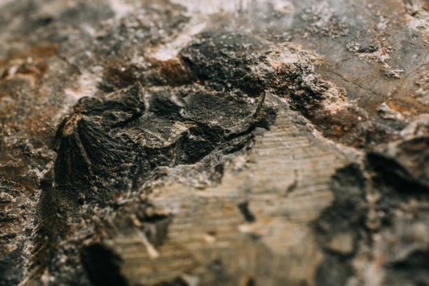 istock Natural rock wall texture and background. Abstract texture and background for designers. Brown old stone surface textured. Closeup view of mountain stone wall texture and background. 1181372454