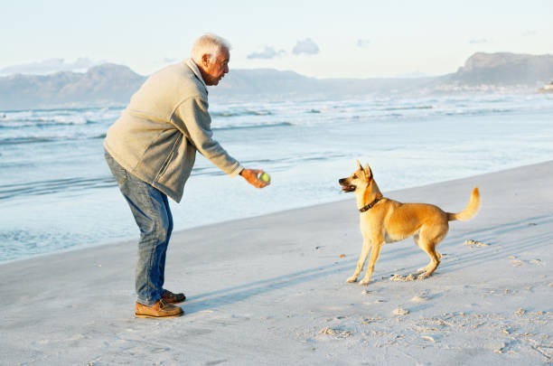 istock Senior man relaxes, throwing ball for dog on beach 1181375017
