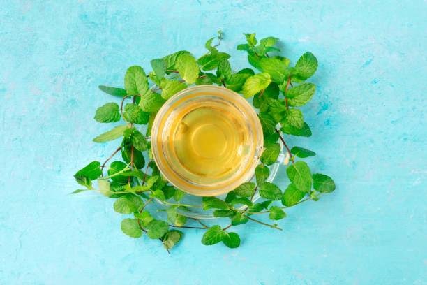 istock Mint tea cup, overhead shot on a blue background with vibrant fresh leaves 1181376640
