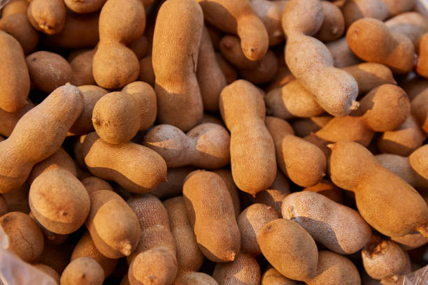 istock Sweet tamarind background 1181376962