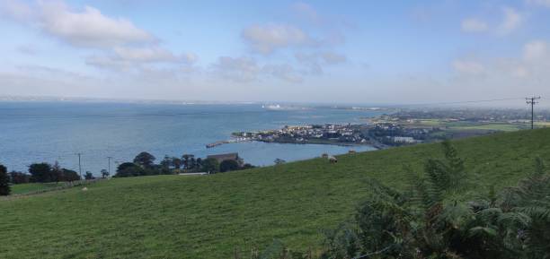 istock Mountain Carlingford 1181377057