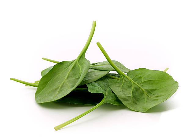 Spinach stock photo