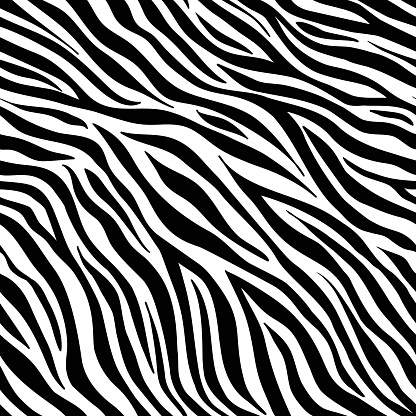 Zebra pattern. Black-white animal seamless. Vector striped texture.