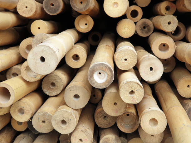 istock Long pieces of bamboo  laid horizontally 1181379097