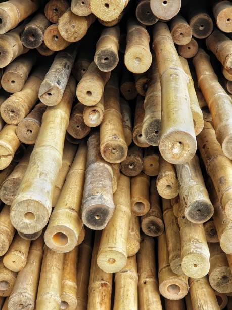 istock Long pieces of bamboo  laid horizontally 1181379821