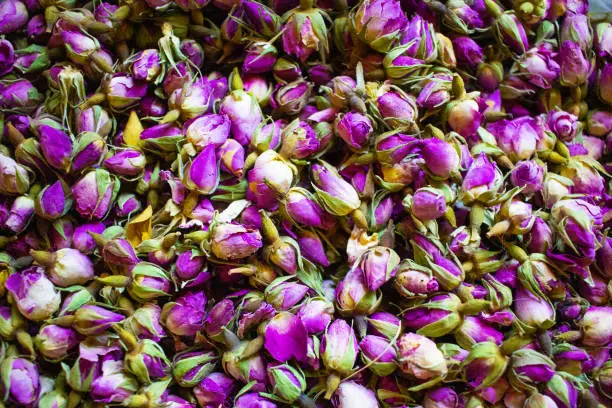 Dried rosebuds background texture closeup. violet rosebud macro close up of heap.