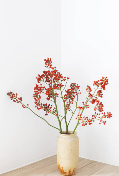 Red Berries (Crataegus) in Studio with Vase