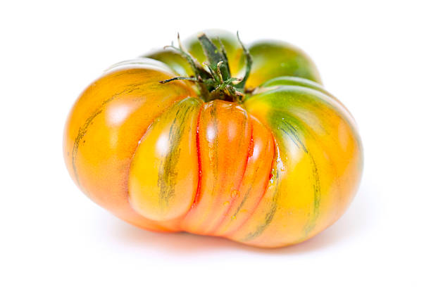 Tomato stock photo