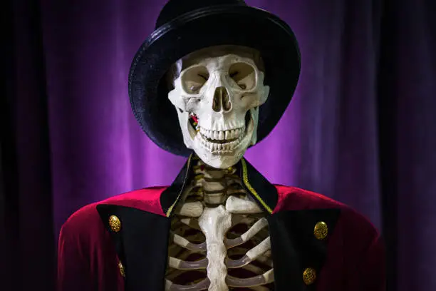 Happy Halloween, showman skeleton in red jacket and hat. Halloween party concept