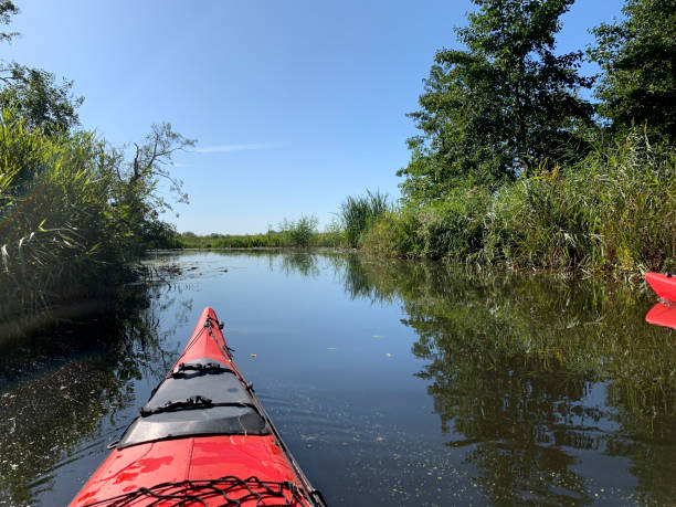 vista da un kayak che pagaia in una riserva naturale alla fine dell'estate - wieden weerribben foto e immagini stock