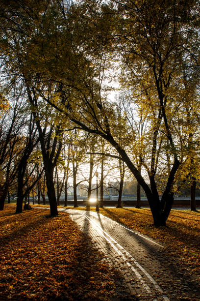istock Bike path in autumn park. 1181389883