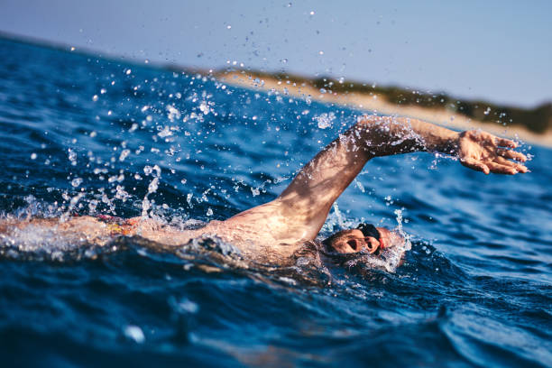 istock Swimmer training on the open sea / ocean. 1181390656
