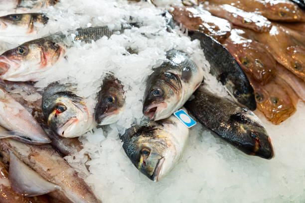 istock Seafoods on fish shop display 1181390940