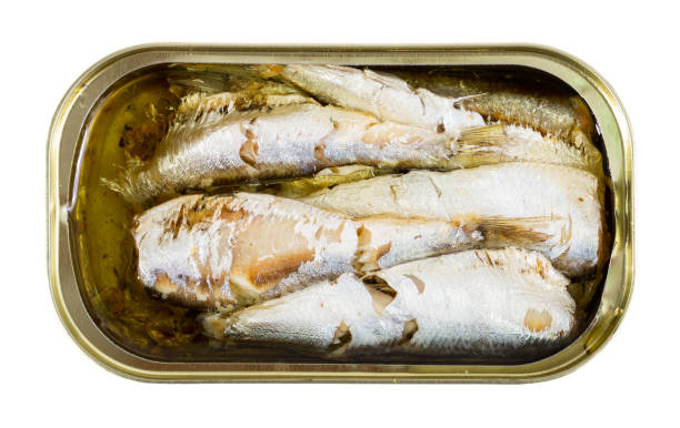 istock Pilchards in oil 1181390943