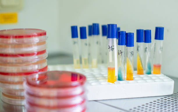 istock Tubes of blood sample for testing 1181397855