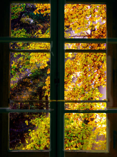 istock Sun shine in autumn. 1181397884