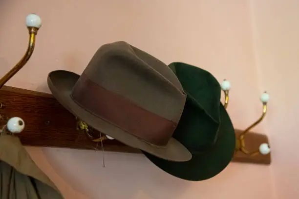 A hat rack with two Trilby hats on