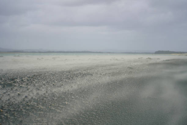 Sand being blown in the wind on a beach
