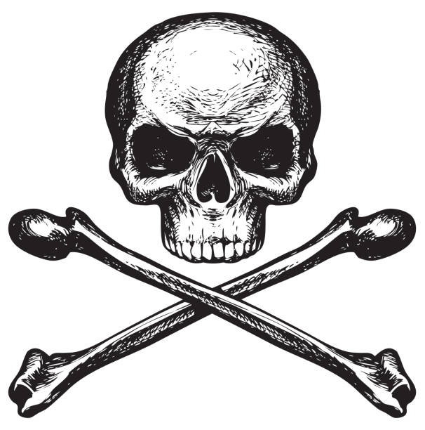 頭蓋骨とクロスボーン、海賊のシンボルや危険サイン - skull and crossbones toxic substance halloween human bone点のイラスト素材／クリップアート素材／マンガ素材／アイコン素材