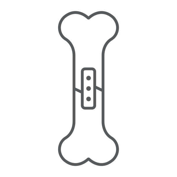 Orthopedic surgery thin line icon, medical and equipment, joint surgery sign, vector graphics, a linear pattern on a white background. Orthopedic surgery thin line icon, medical and equipment, joint surgery sign, vector graphics, a linear pattern on a white background, eps 10. femur bone anatomy drawing stock illustrations