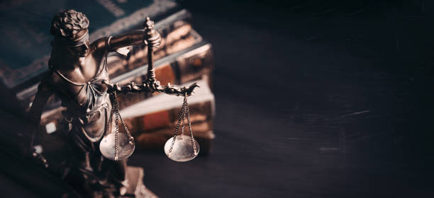 lady justice. statue der gerechtigkeit in der bibliothek - roman statue stock-fotos und bilder