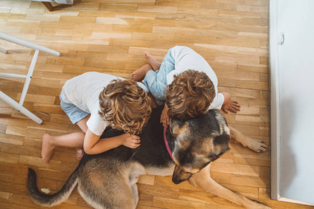 istock Siblings playing with their dog at home 1181406981