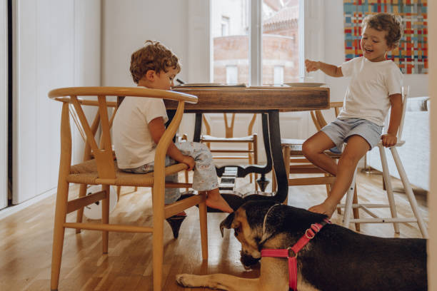istock Siblings playing with their dog at home 1181406983