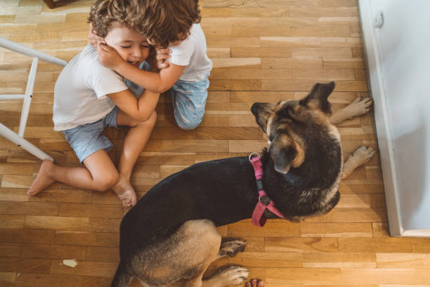 istock Siblings playing with their dog at home 1181407003