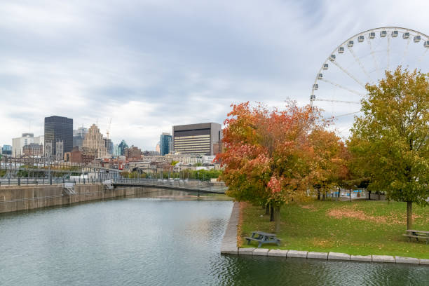 Montreal in Canada, view of the harbor and downtown, with modern and ancient buildings on the Saint-Laurent river