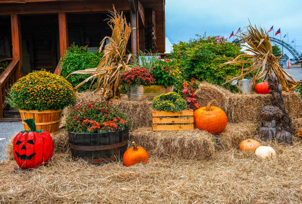 istock Autumn Decoration at Carnival 1181407928
