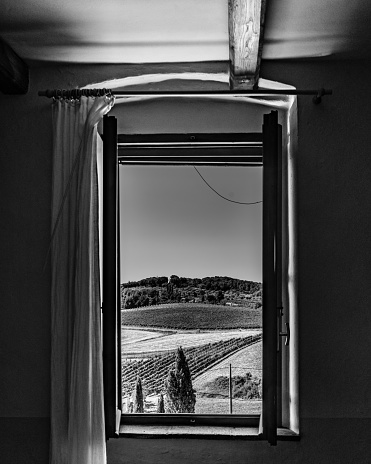 View from an open window of crops and vineyards in Tuscany.