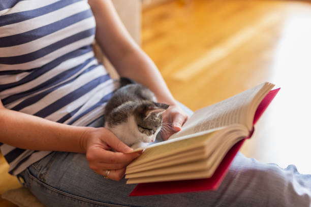 istock Woman and kitten reading a book 1181410175