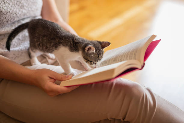 istock Woman and cat reading a book 1181410268