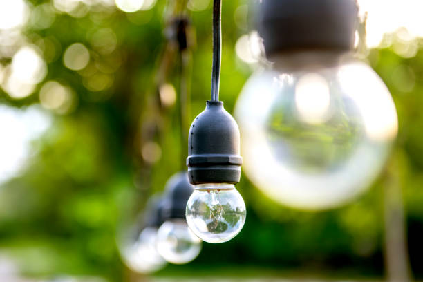 istock The bulbs are hung in long rows background nature 1181411531