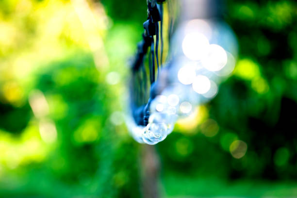 The bulbs blur concept, hung in long rows background nature Idea of green tree look beautiful in the morning