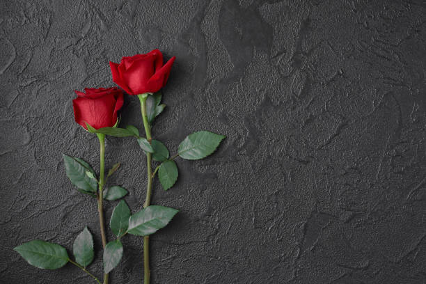 istock Two red roses on a dark, black textured background. Space for text. 1181412894